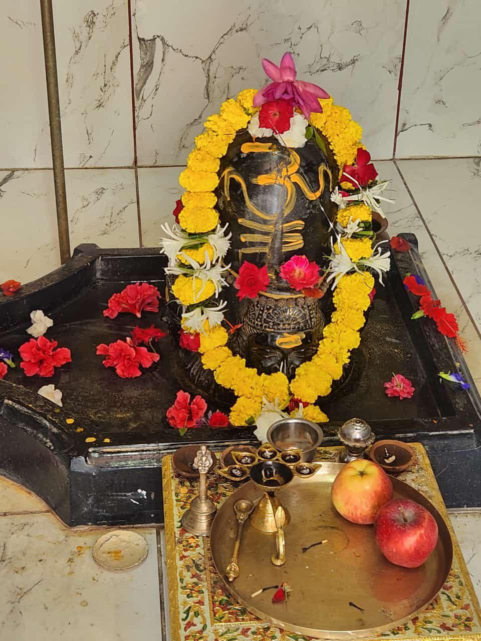 Paramhit Dham View 12